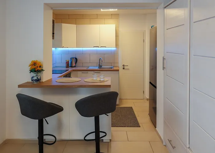 Messe Airport Dus With Terrace * Дуйсбург